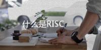 什么是RISC