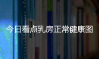 今日看點(diǎn)乳房正常健康圖片大全，關(guān)于乳房正常健康圖片詳細(xì)情況