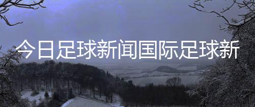 今日足球新聞國際足球新聞網2023年11月11日