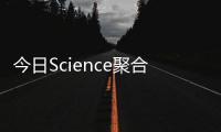 今日Science聚合物刷：多功能膠束刷實(shí)現(xiàn)表面結(jié)晶驅(qū)動生長 – 材料牛