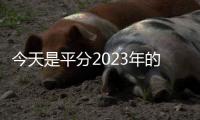 今天是平分2023年的一天：走過182天，余額182天