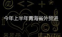 今年上半年青海省外貿進出口總值25.9億元 同比增長19.2%