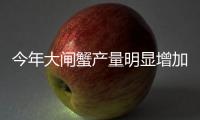 今年大閘蟹產(chǎn)量明顯增加一只大閘蟹售價(jià)40元