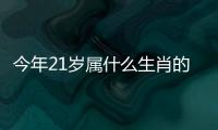 今年21歲屬什么生肖的男孩今年21歲屬什么生肖