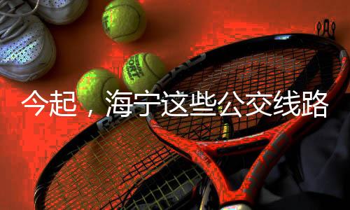 今起，海寧這些公交線路有序恢復！