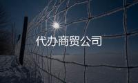 代辦商貿(mào)公司