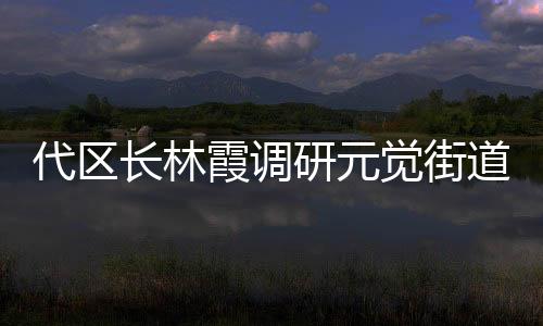 代區長林霞調研元覺街道