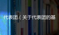 代表團（關于代表團的基本情況說明介紹）