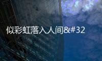 似彩虹落入人間 江蘇鹽城三千萬株郁金香爭奇斗艷