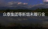 眾泰集團等新增未履行金額超8億元