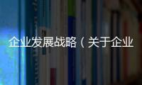 企業(yè)發(fā)展戰(zhàn)略（關于企業(yè)發(fā)展戰(zhàn)略的基本情況說明介紹）