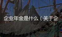 企業(yè)年金是什么（關(guān)于企業(yè)年金是什么的基本情況說明介紹）