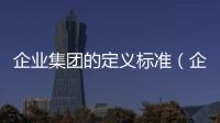 企業集團的定義標準（企業集團的定義）