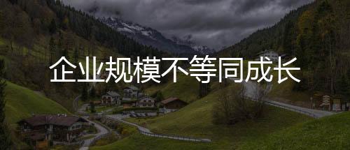 企業(yè)規(guī)模不等同成長