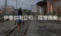 伊春供電公司：精準(zhǔn)調(diào)度穩(wěn)運(yùn)行 春耕用電有保障