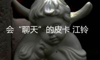 會(huì)“聊天”的皮卡 江鈴新域虎官圖/16日首發(fā)