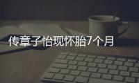 傳章子怡現懷胎7個月 將于年底洛杉磯生產【娛樂新聞】風尚中國網