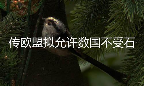 傳歐盟擬允許數(shù)國(guó)不受石油禁運(yùn)影響