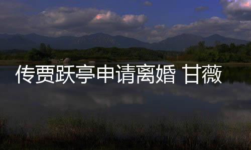 傳賈躍亭申請(qǐng)離婚 甘薇：國(guó)內(nèi)媒體沒有底線