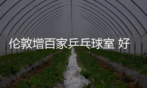 倫敦增百家乒乓球室 好萊塢女星或改變市民觀念