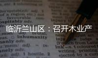 臨沂蘭山區：召開木業產業轉型升級推進會議