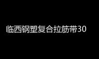 臨西鋼塑復合拉筋帶30020C說明