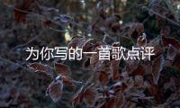 為你寫(xiě)的一首歌點(diǎn)評(píng)