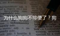 為什么狗狗不排便了？狗狗為什么不拉屎不拉尿