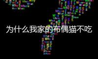 為什么我家的布偶貓不吃肉呢？布偶貓不吃肉怎么辦