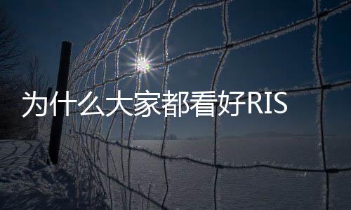 為什么大家都看好RISC