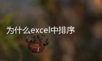 為什么excel中排序有些是亂的（excel排序后數據混亂）