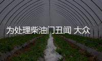 為處理柴油門丑聞 大眾花費了多少錢？