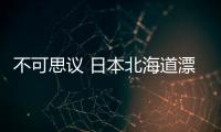 不可思議 日本北海道漂來大量死沙丁魚