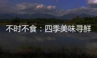 不時(shí)不食：四季美味尋鮮記(關(guān)于不時(shí)不食：四季美味尋鮮記簡(jiǎn)述)