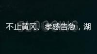 不止黃岡、孝感告急，湖北14城宣布中心城區交通管制！