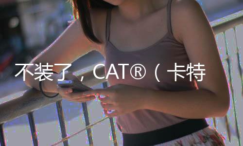 不裝了，CAT?（卡特）313 GC就是高效生產的超強外掛