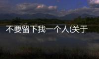 不要留下我一個人(關(guān)于不要留下我一個人簡述)