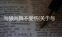 與狼共舞不受傷(關于與狼共舞不受傷簡述)