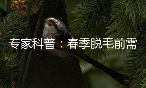 專家科普：春季脫毛前需知道的常識