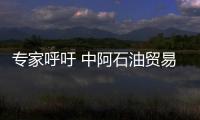 專家呼吁 中阿石油貿(mào)易應以人民幣結算