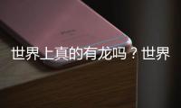 世界上真的有龍嗎？世界僅存的三條蛟龍之一竟被殺