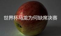 世界杯馬龍為何缺席決賽？ 秦志戩：磨煉年輕人