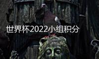 世界杯2022小組積分榜單 澳大利亞最新小組排名