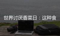 世界討厭香菜日：這種食物的“調味劑”，為何有人會極其厭惡？