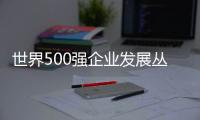 世界500強企業發展叢書(關于世界500強企業發展叢書簡述)