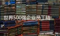 世界500強企業(yè)員工精神(關(guān)于世界500強企業(yè)員工精神簡述)