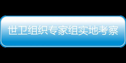 世衛(wèi)組織專家組實地考察武漢