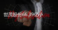 世茂股份66.39億小公募獲上交所受理