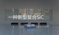 一種新型復合SiC