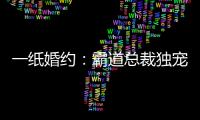 一紙婚約：霸道總裁獨寵小嬌妻(關于一紙婚約：霸道總裁獨寵小嬌妻簡述)